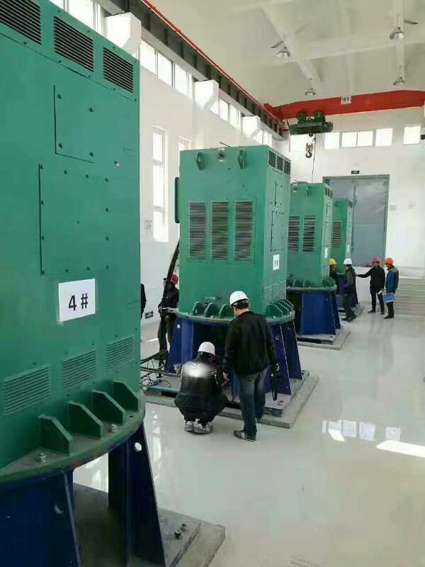芷江某污水处理厂使用我厂的立式高压电机安装现场
